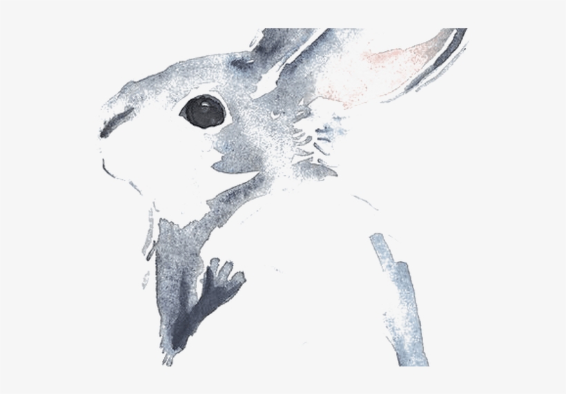 Cinnamon Rabbit Watercolour Flowers Drawing Watercolor - Rabbit Watercolor Painting, transparent png