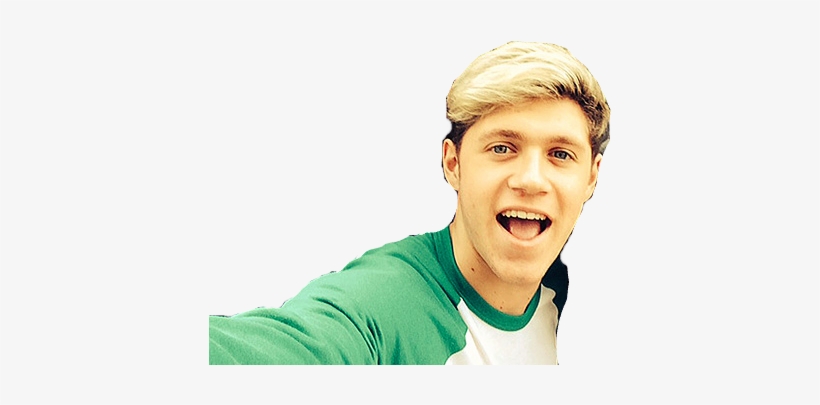 Harry Styles One Direction Wiki Fandom Powered By Wikia - Niall Selfie Png, transparent png