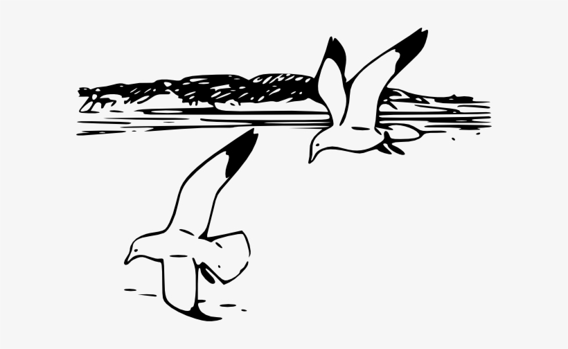 Free Vector Flying Sea Gulls Clip Art - Shore Clip Art Black And White, transparent png