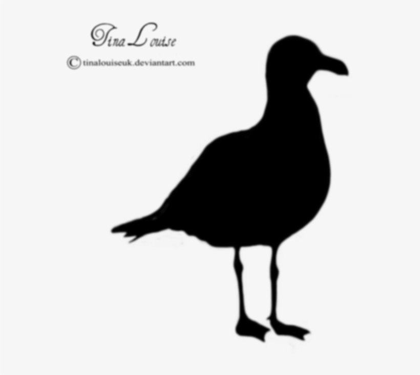 Silhouette Of Seagull Flying On A White Background - Seagull Clip Art Silhouette, transparent png