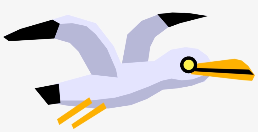 Vector Illustration Of Cartoon Feathered Vertebrate - Illustration, transparent png