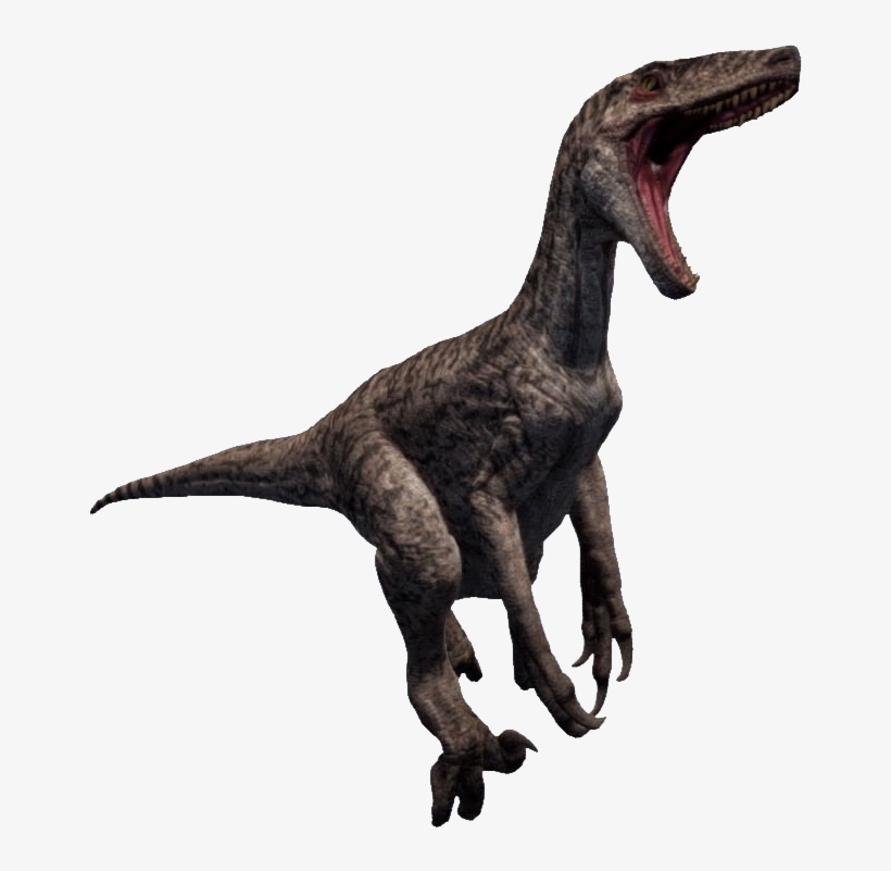 U Raptor - Raptor Png, transparent png