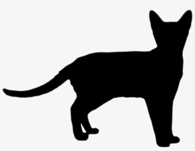 Cat Silhouette - Plakat Do Wydruku Kot, transparent png