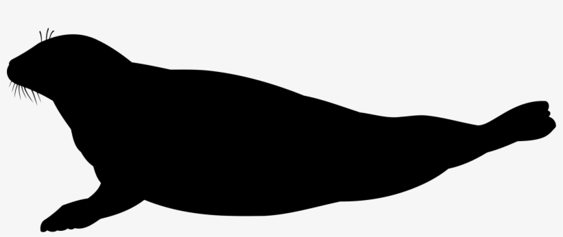 Cat Silhouette Sea Lion Black Download - Seal Silhouette, transparent png