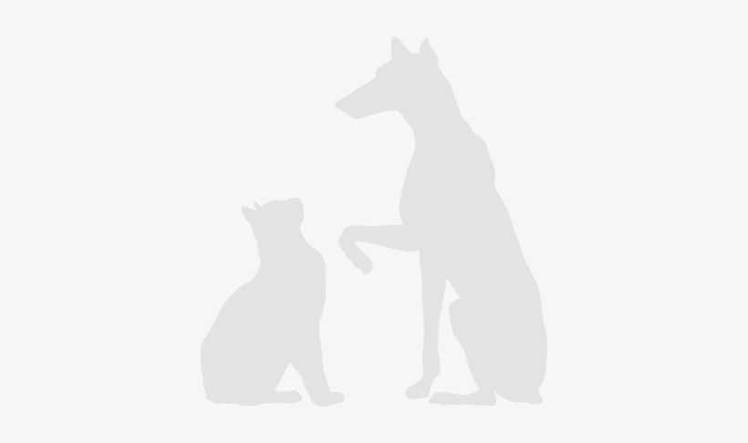 Dog And Cat Silhouette - Silhouette, transparent png