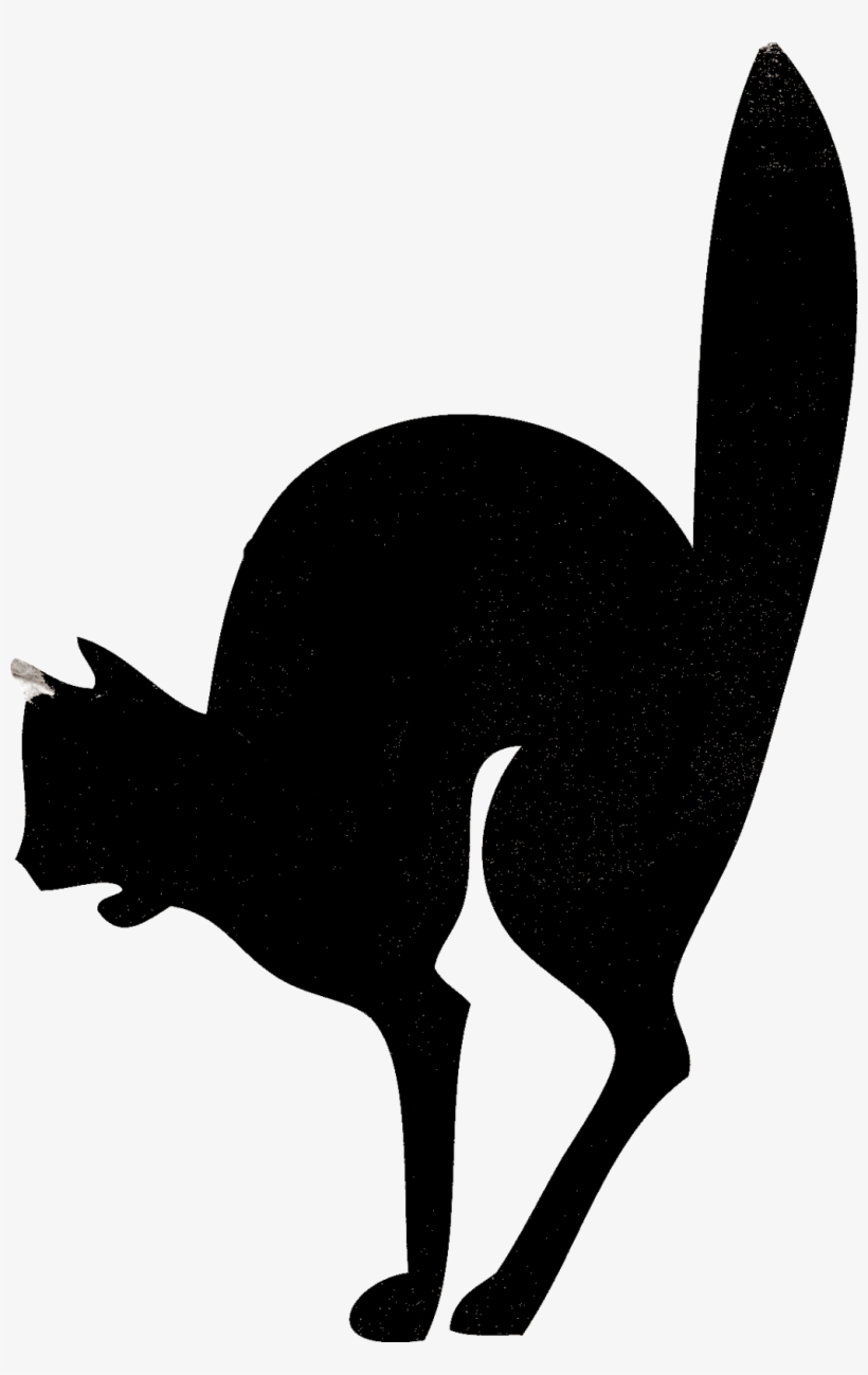 Sisters' Warehouse Ornamenty Warehouse - Halloween Bianco E Nero, transparent png
