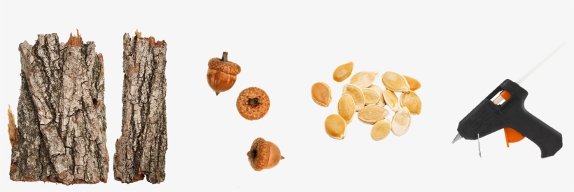 1 Piece Of Bark From A Tree Of Your Choice - Tree Bark Pieces Png, transparent png