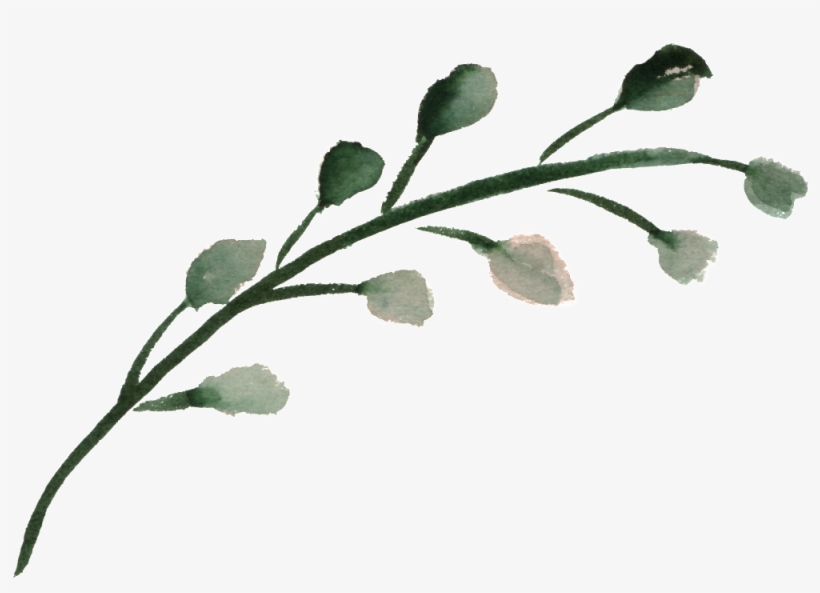Watercolor Flower - Watercolor Painting, transparent png
