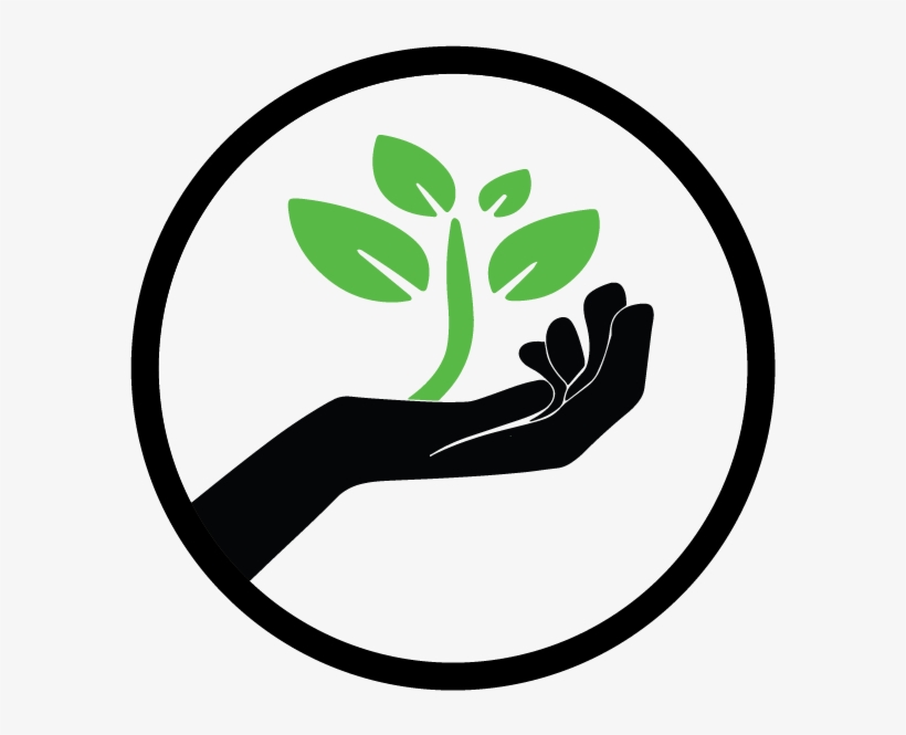 Hand With Plant Png, transparent png
