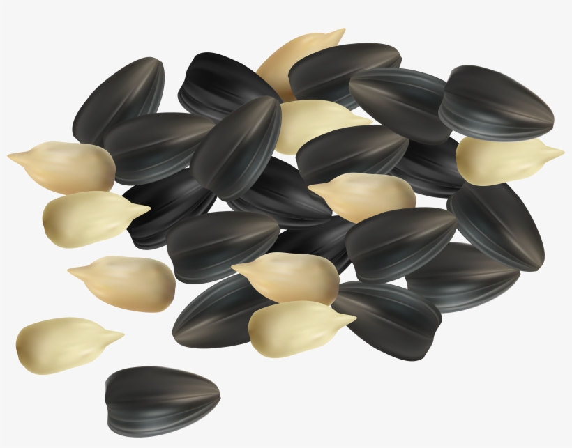 Seeds Clipart Png, transparent png