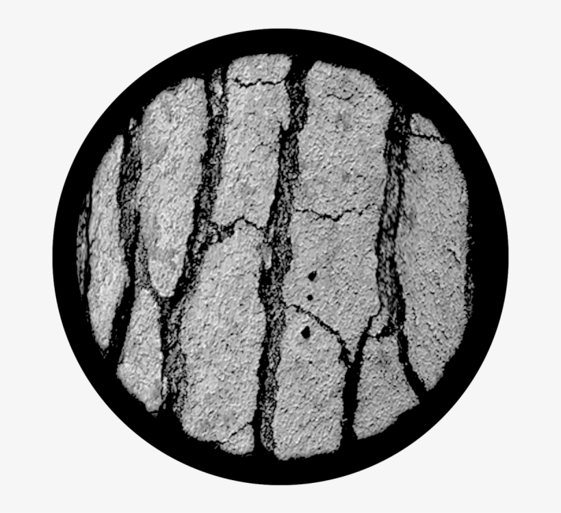 Tree Bark - Apollo Tree Bark Glass Gobo Sr-1012, transparent png