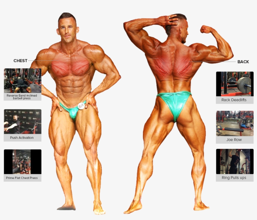 Workouts - Bodybuilding, transparent png