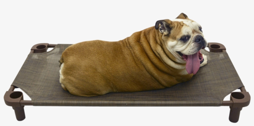 4legs4pets Place Board 40×22 Premium Tweed Cot - Bed, transparent png