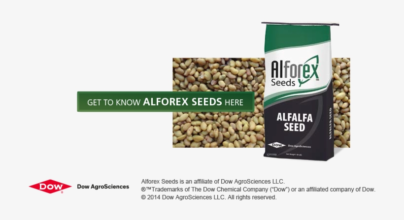 Get To Know Alforex Seeds Image - Alforex Seeds, transparent png