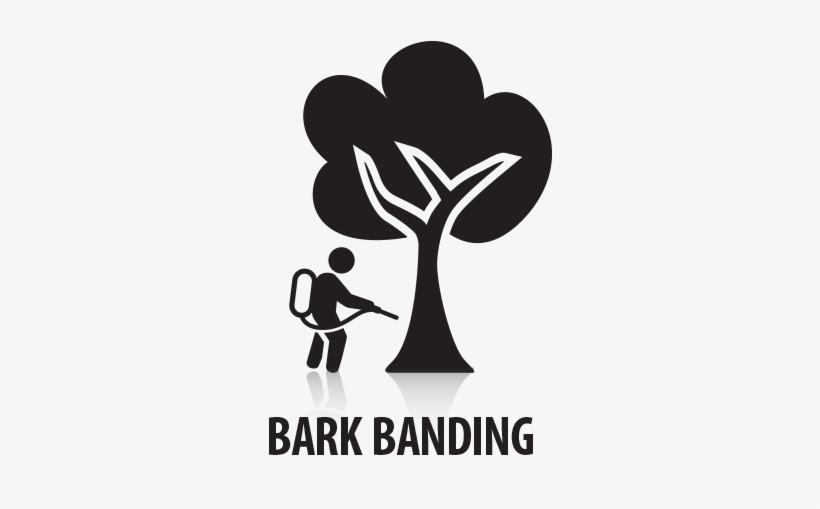 Barkbanding Aaron's Greenscape Inc 585x585 PNG Download PNGkit