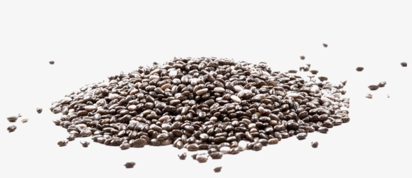 Chia Seeds - Chia Seeds Argentina, transparent png