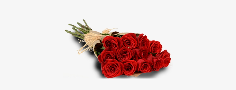 Red Roses - 1 Dozen Of Roses, transparent png