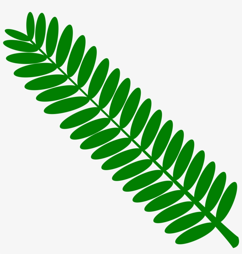This Free Icons Png Design Of Mimosa Leaf Twig Plant, transparent png