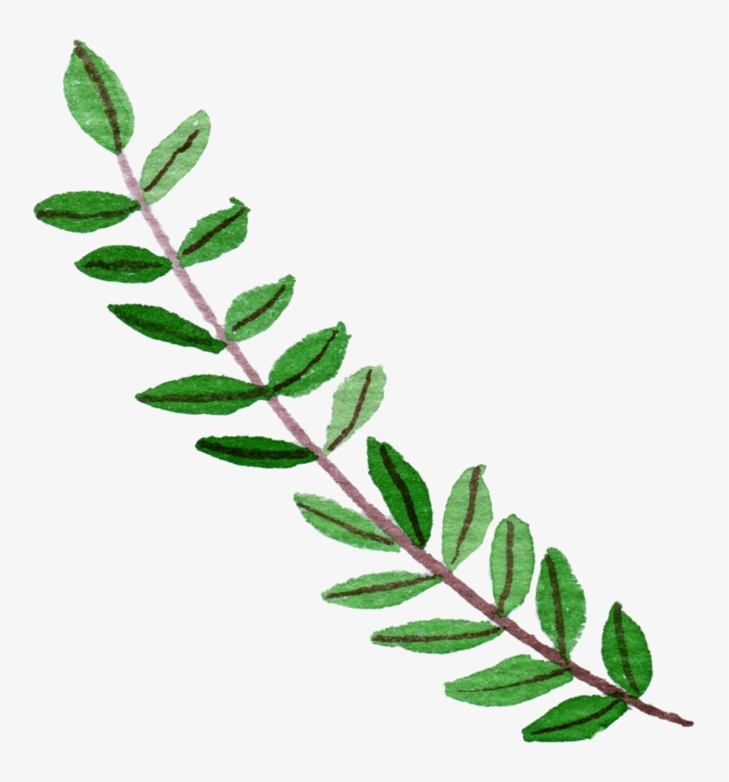 9 Frame - Branch, transparent png
