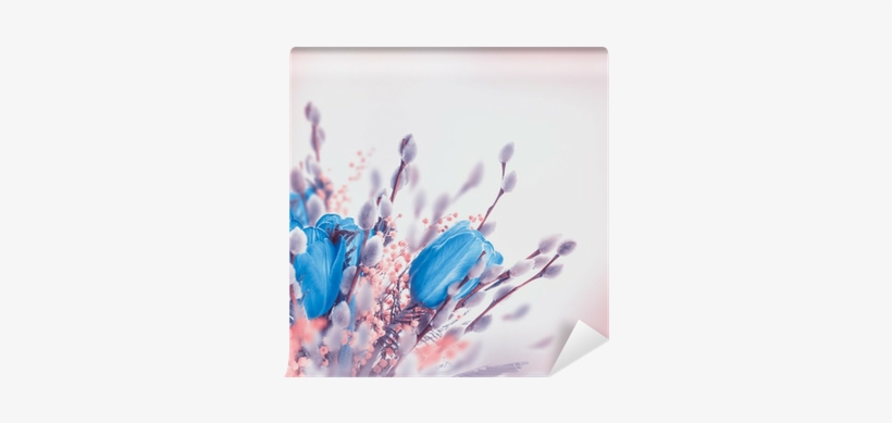 Blue Tulips With Mimosa, Spring Background Wall Mural - Siswoo Cooper I7 16gb, Network: 4g, 5.0, transparent png