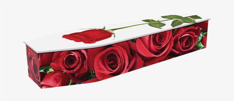 Expression Red Roses - Rose Coffin, transparent png