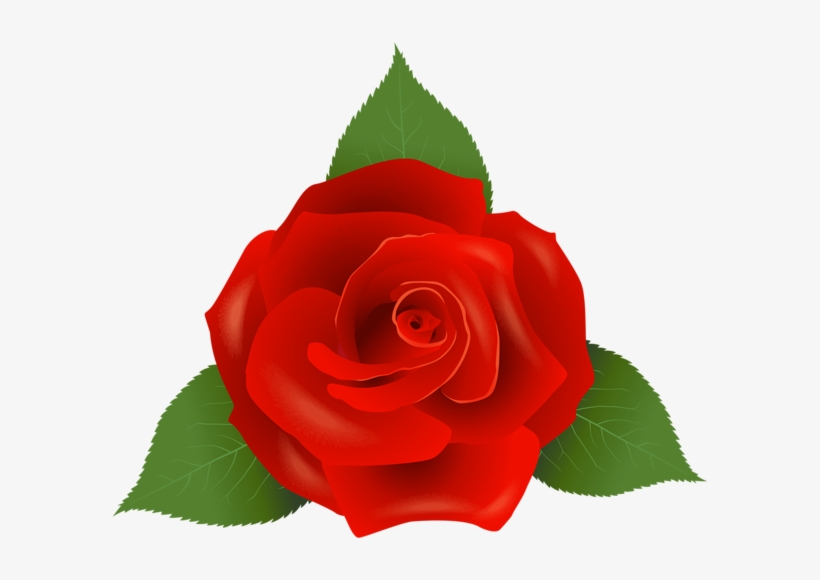 0, - Png Format Red Flowers Png, transparent png