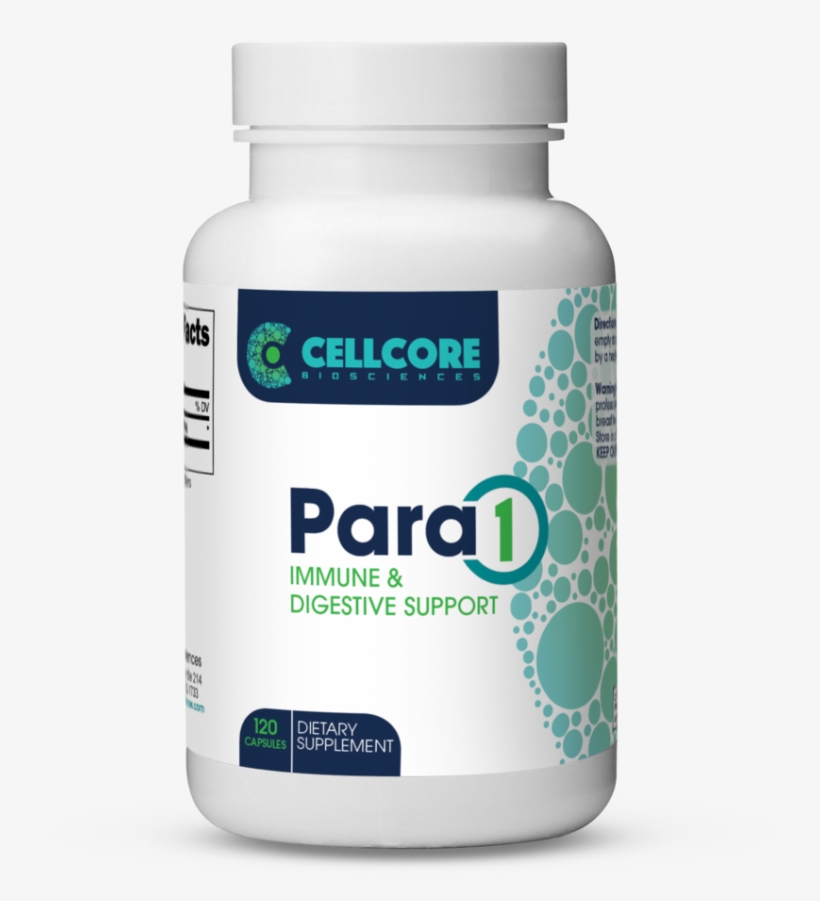 Immune & Digestive Support - Agaricus, transparent png