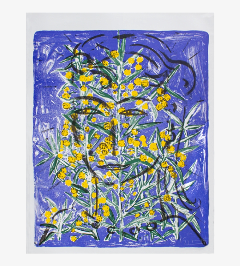 Szczesny Siebdruck Auf Papier Eva With Mimosa - Paper, transparent png