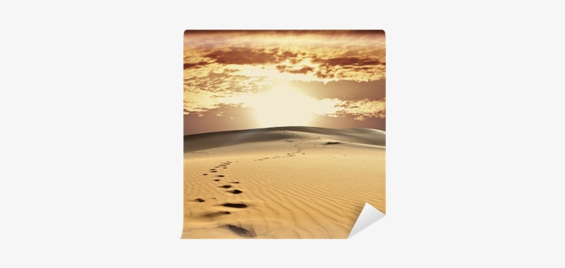 Ancient Aliens Starring Giorgio A. Tsoukalos (dvd), transparent png