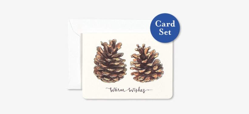 Pinecones Warm Wishes Mini Card Set Of - Pinecones Transparent, transparent png