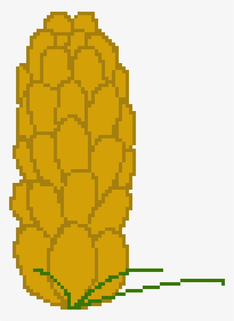 Male Pine Cone - Illustration, transparent png