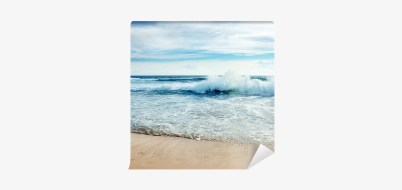 Sea, transparent png
