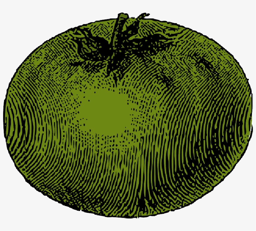 Mb Image/png - Tomato Clip Art, transparent png