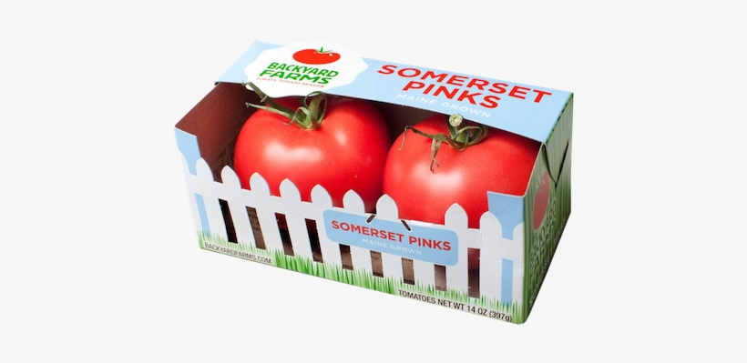 Stop By One Of These Hannaford Locations During The - Boston, transparent png