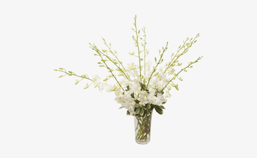 Orchid Beauty White, Small - Bouquet, transparent png