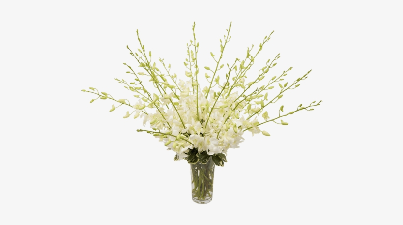 Orchid Beauty White, Large - Bouquet, transparent png