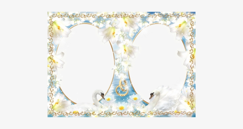 Two Frameworks For Wedding Photos - Wedding Swan Png Photoshop, transparent png
