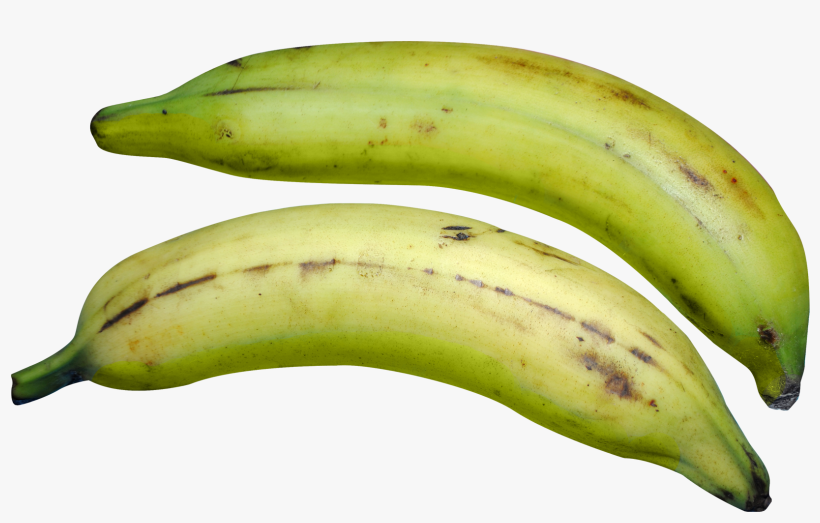Free Png Green Banana Png Images Transparent - Png Image Of Plantain, transparent png