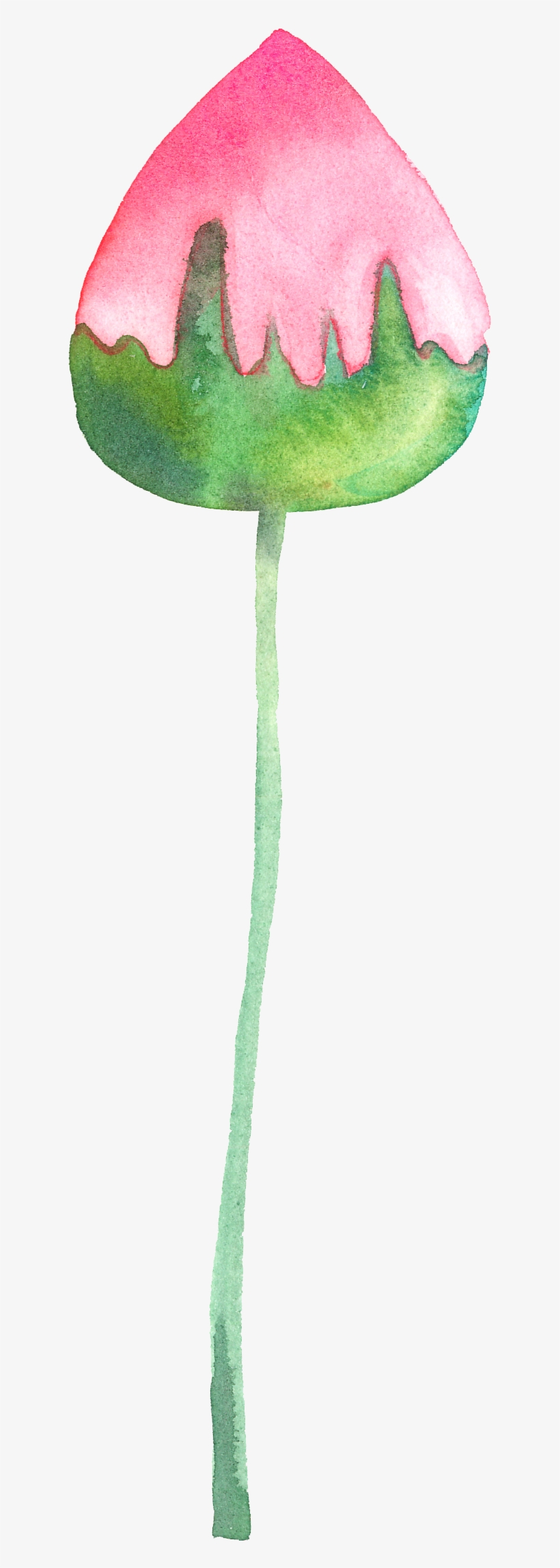 Watercolor Flower - Watercolor Painting, transparent png