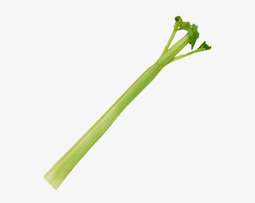 1 Stalk - Leek, transparent png