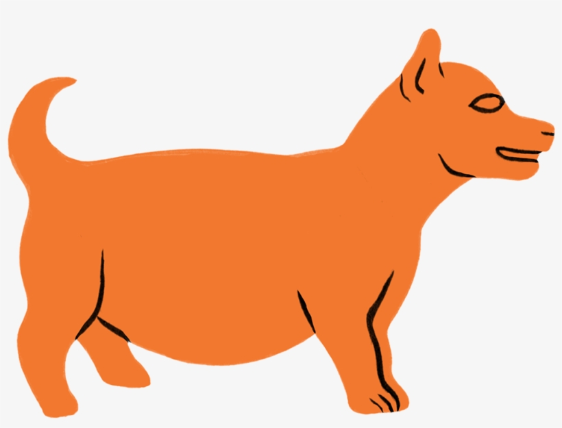 Dog, transparent png