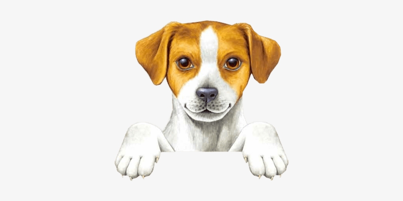 Unas Preciosas Imagenes De Mascotas, Perros Y Gatiros - Tarjetas De Presentacion Veterinario, transparent png