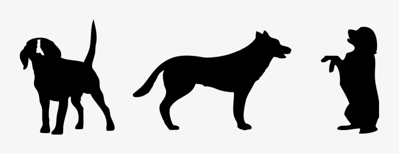 Silueta Home - Corralejo Natural Park, transparent png