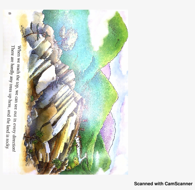 Floral Design, transparent png