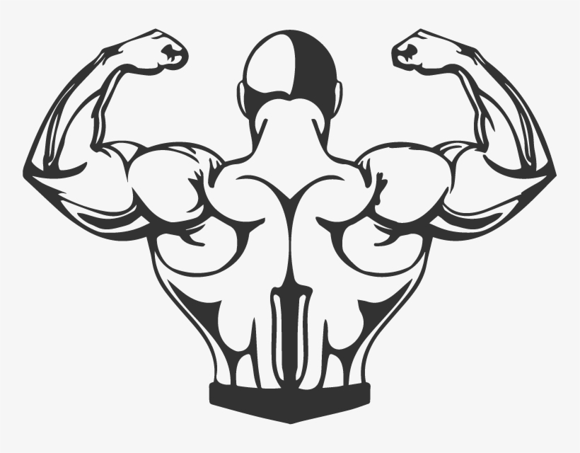 Muscle Png, transparent png