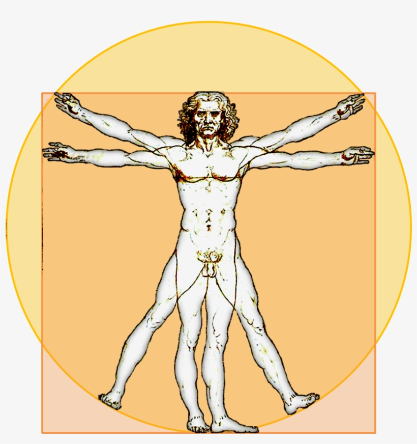 File - Vitruvian-icon - Vitruvian Man Logo Png, transparent png