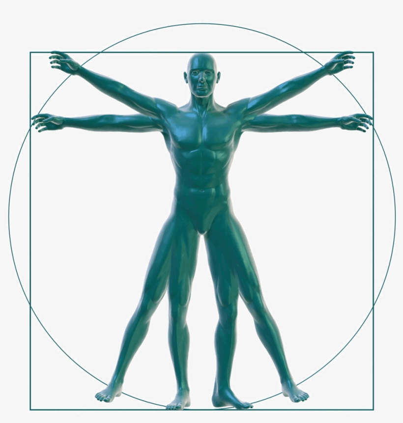 Vitruvian Man On White - Vitruvian Man, transparent png