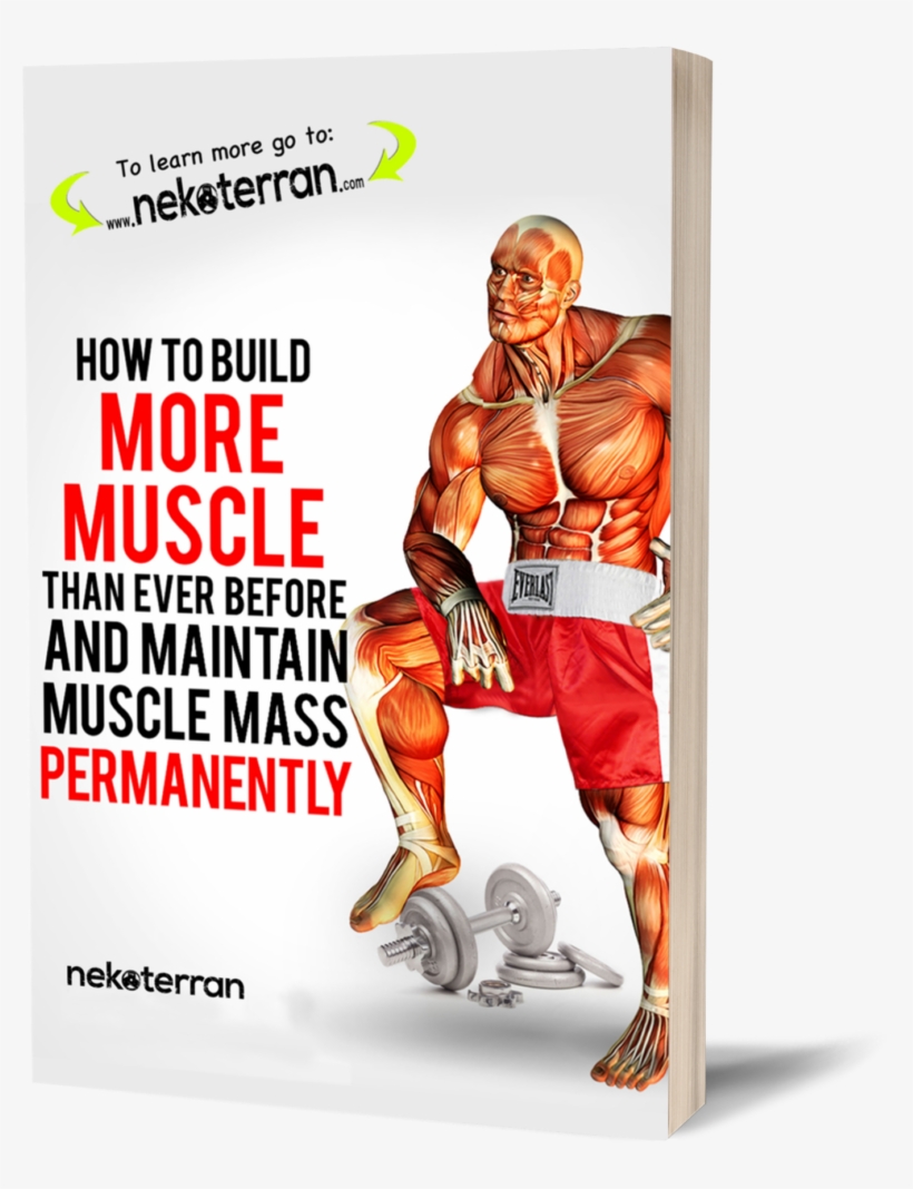 Paperback $15 - - How To Build More Muscle Than Ever Before And Maintain, transparent png