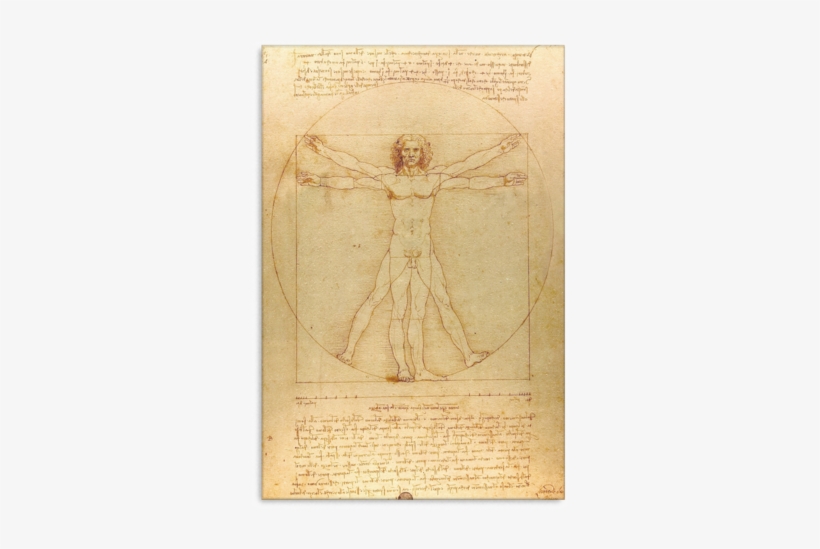 Vitruvian Man - Da Vinci - Virtivian War Leonardo Da Vinci, transparent png
