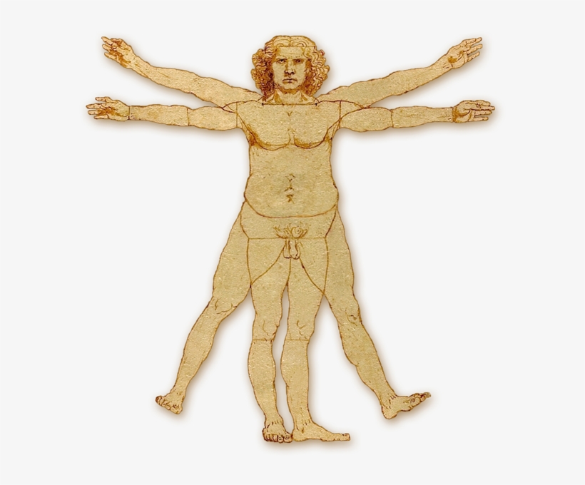 Overweight Vitruvian Man - Vitruvian Man Logo Transparent, transparent png